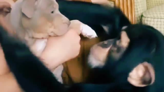 BEAUTIFUL VIDEO ❤❤❤❤