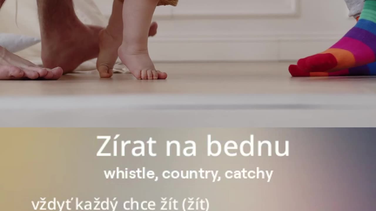 country song „VEM SI TO!“