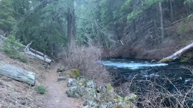 Feels Like a Far Away Mystical Land – Metolius River – Central Oregon