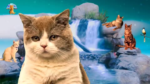 Purrfect Harmony: Relaxation with Cats in Beautiful Nature