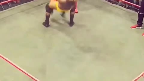 A superlex by a boxer