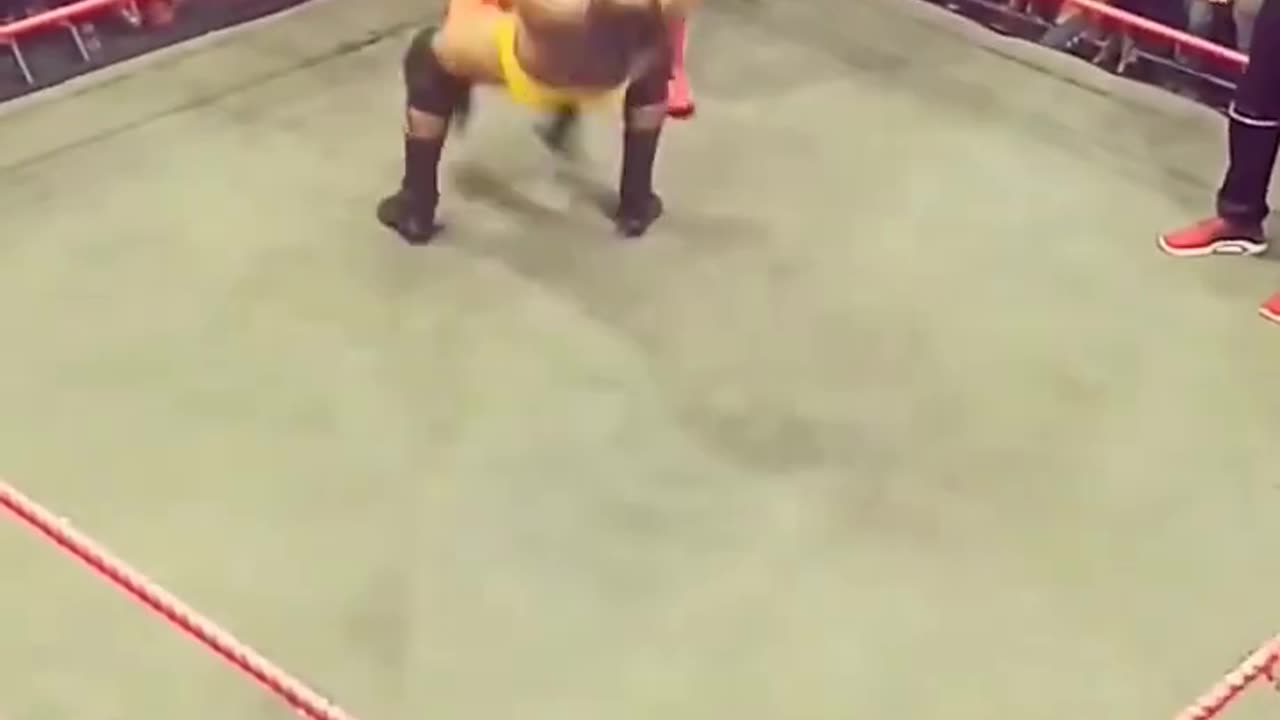 A superlex by a boxer
