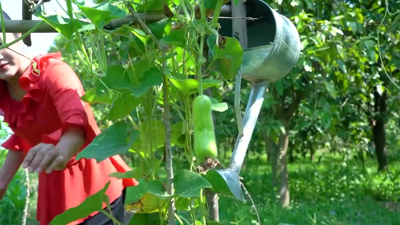 Countryside life TV: We cook fish with free vegetable from vegetable garden - Yummy fishes cooking