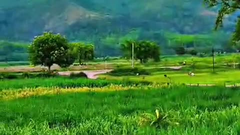 Nepal tours