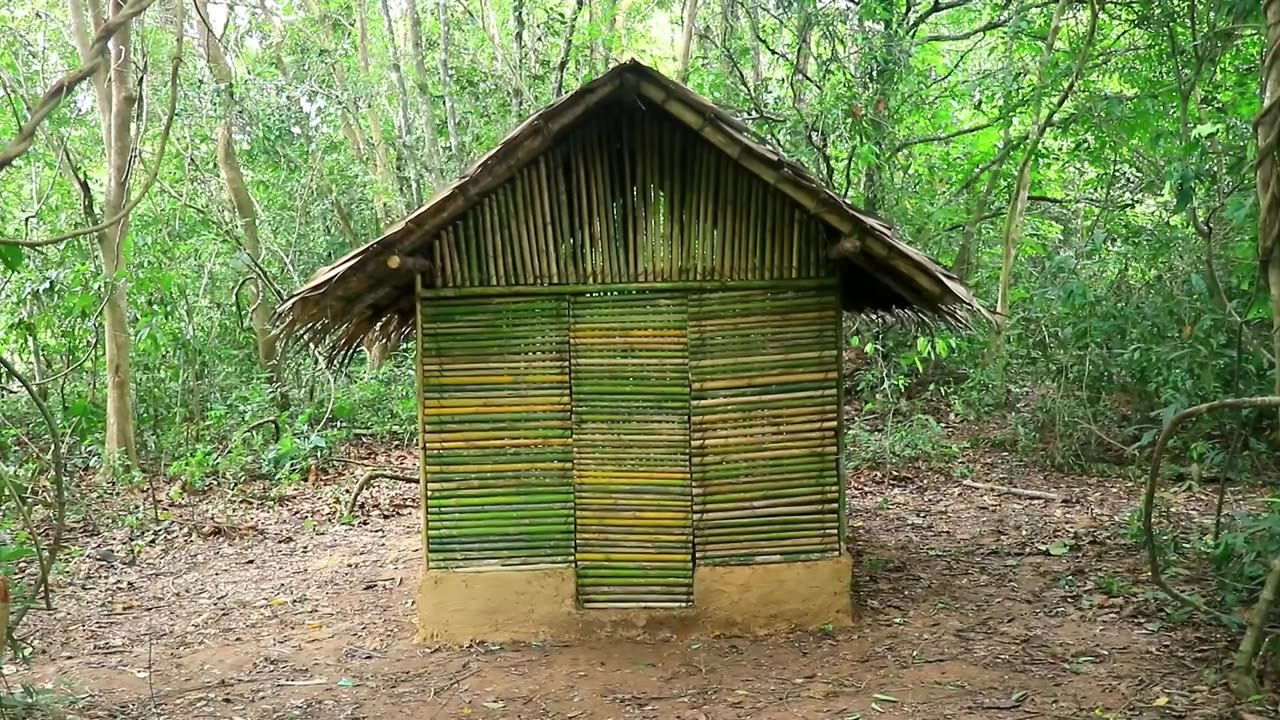 New House Was Build in Forest