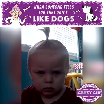 Aunty Acid Crazy Clip Show - When someone tells me they don't like dogs