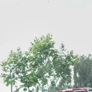 지난 주 샌디에이고