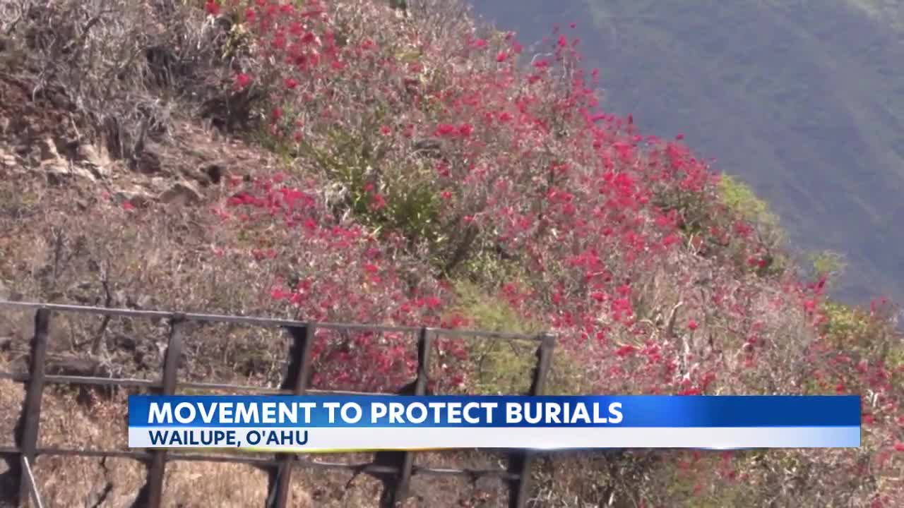 Activists seek stewardship of Wailupe property to protect ancient burials