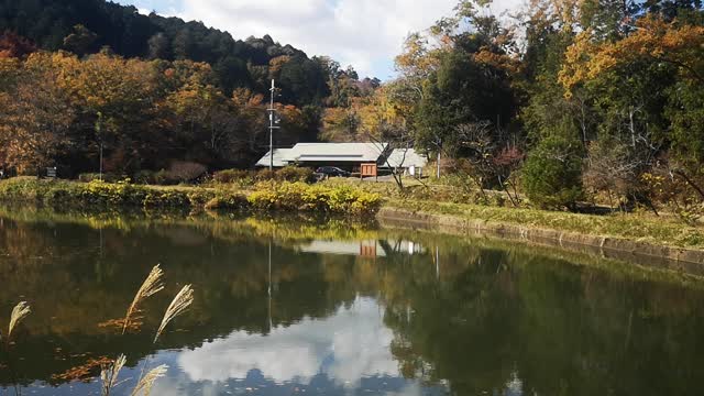 What a beautiful place in Nara Japan