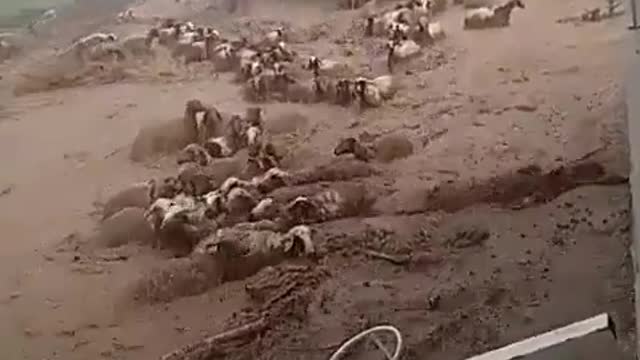 Flooding in morroco