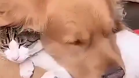 friendship is everything