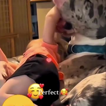 "Unbreakable Bonds: The Heartwarming Friendship Between Dogs and Babies"