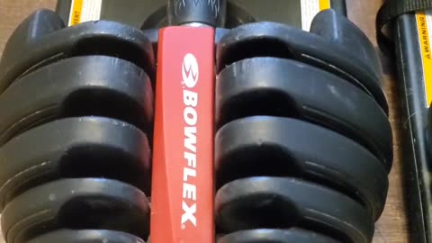 Bowflex SelectTech 552 Adjustable Dumbbells