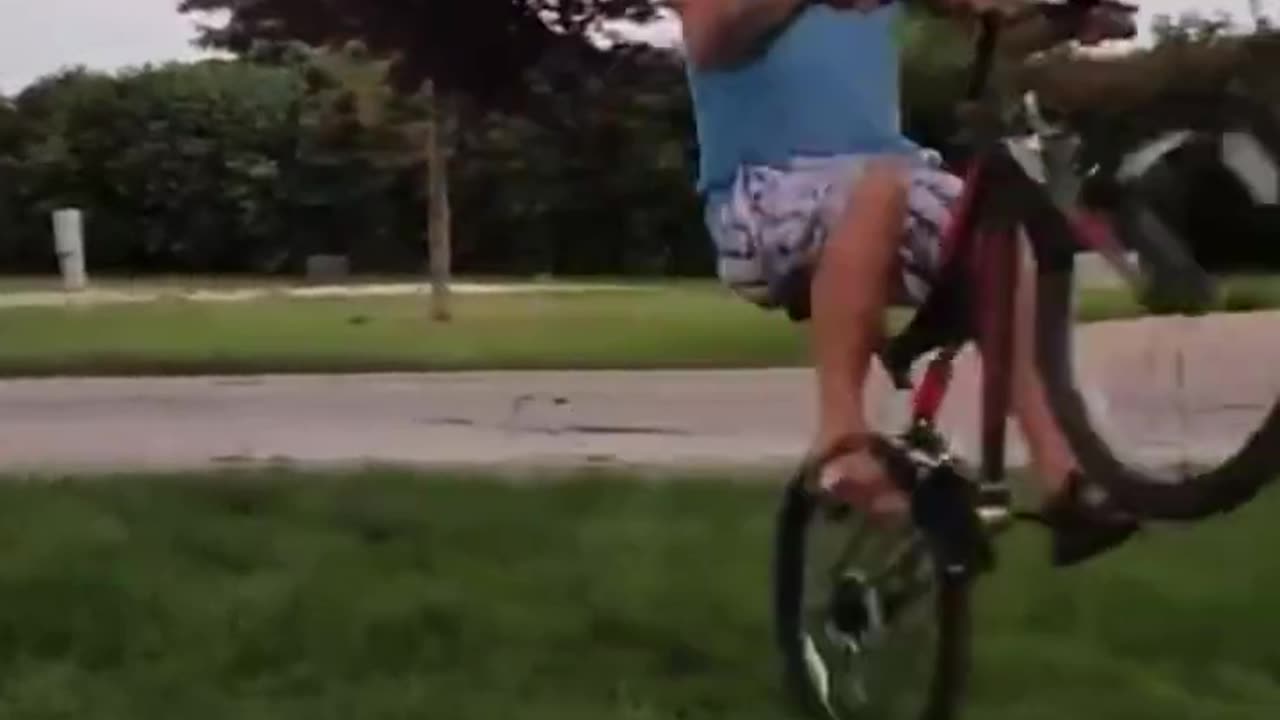 Funny Fails Shorts😂Try Not to Laugh Challenge Funny Animals Caught on Camera Meme YLYL TikTok Ep 143