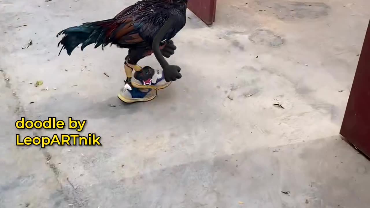 CHICKENS CROSSING THE ROAD (Sound On) Still not sure WHY chickens are crossing the road, but here is HOW they did it. Background video source: Douyin 1986Zhj (诗书达理之山人)