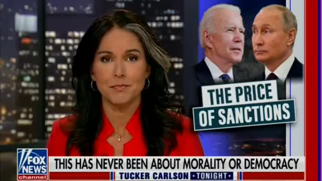 Tulsi Gabbard: "Whatever crocodile tears they shed, they don't care about morality..."