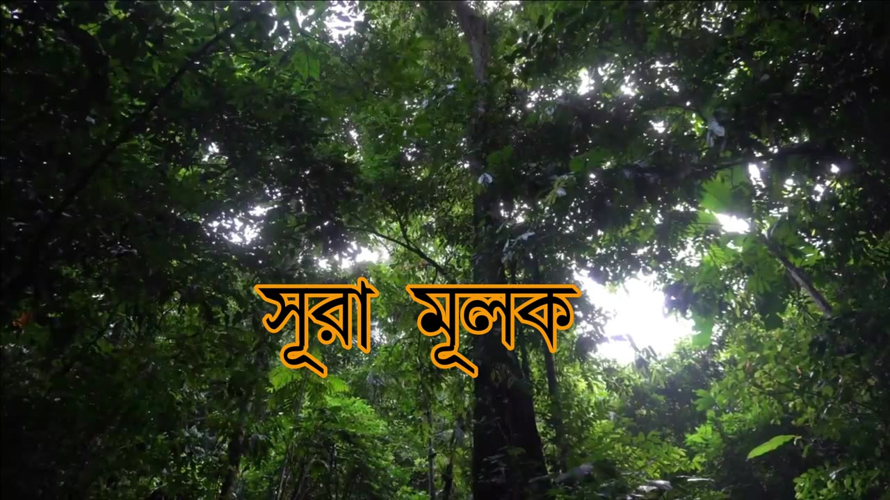 সূরা মুলক তেলাওয়াত #Surah Mulk