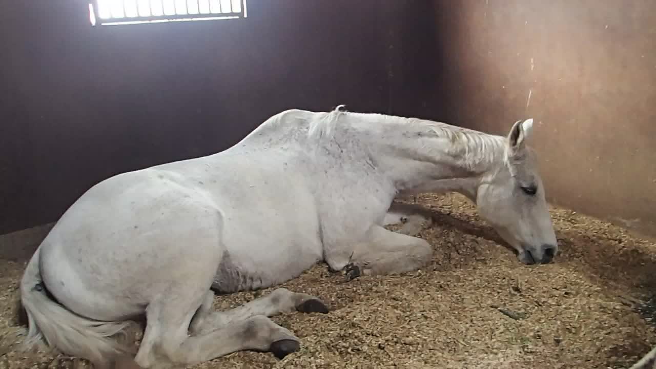 Pooh was sleeping upon our arrival!