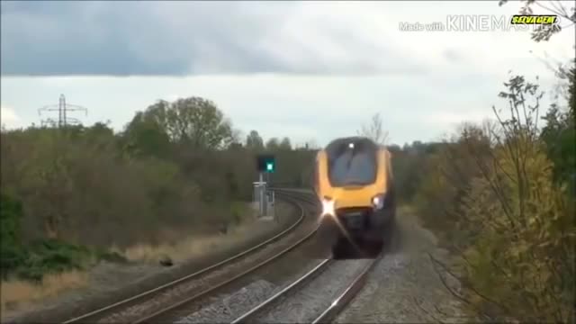 animals that hit by train - Animals vs Train