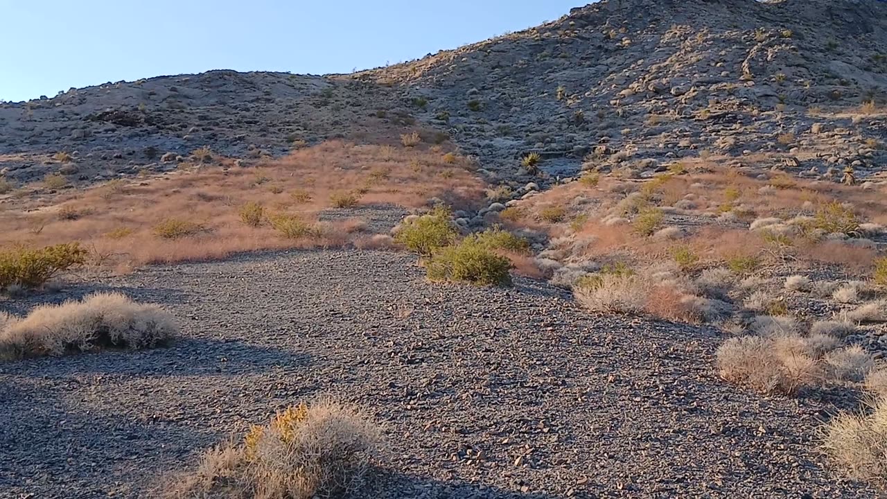 Hiking - Shadow Mountain, Pahrump, NV 89060 - 20241002T172135