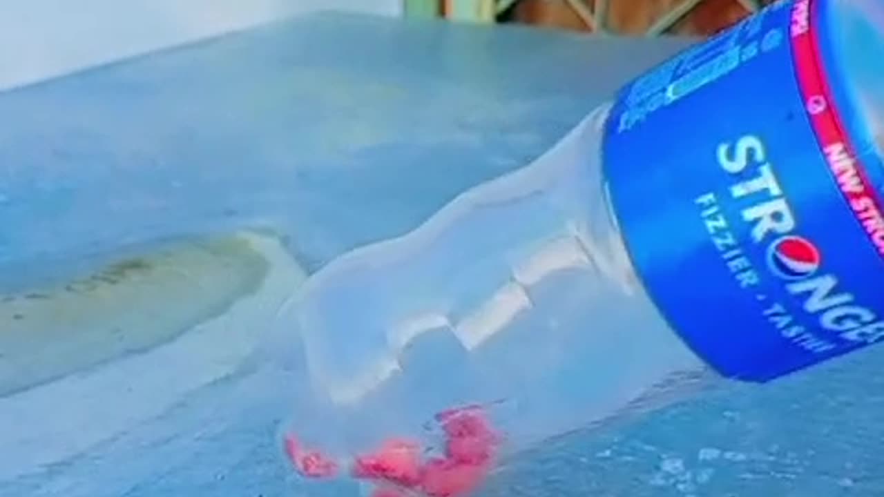 Mouse In Bottle Funny