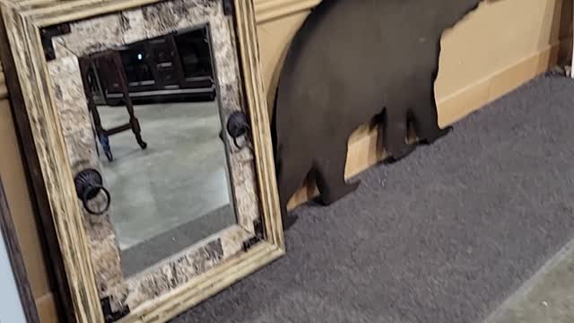 Auction test video