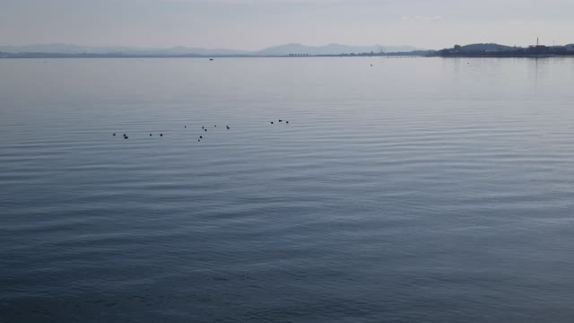 a calm sea video