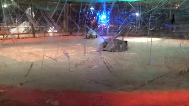 Roboriots BT Young Scientist Dublin 2016: Halo Vs Meggamouse