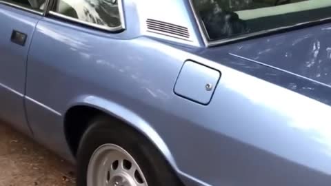 Detomaso long Champ!!