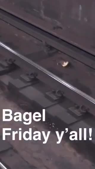 Rat running through subway tracks with bread