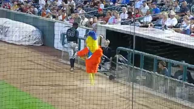 Chicken dances with Barney
