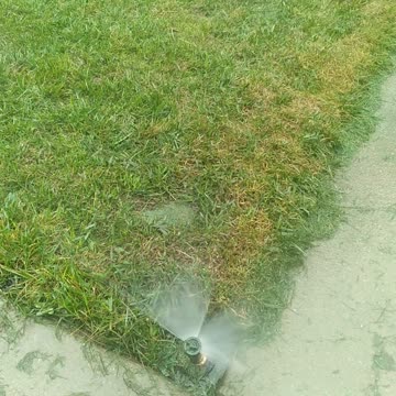 Pop Up Sprinkler Head