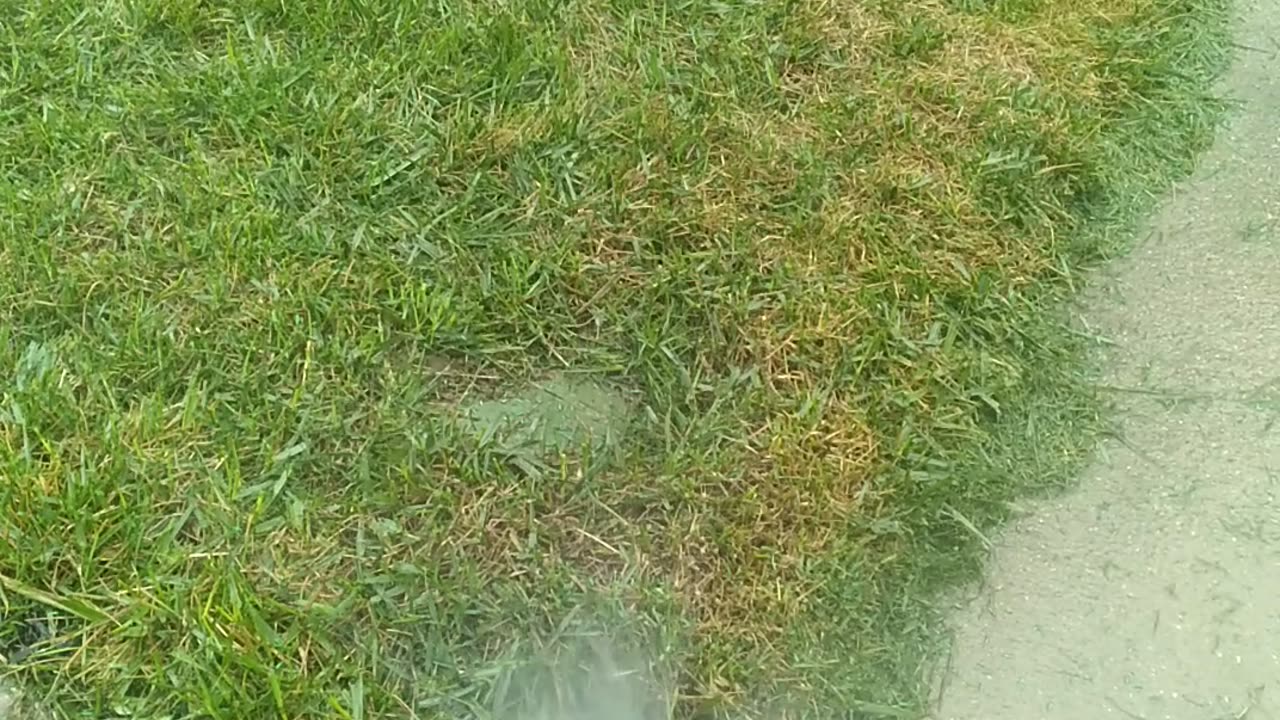 Pop Up Sprinkler Head