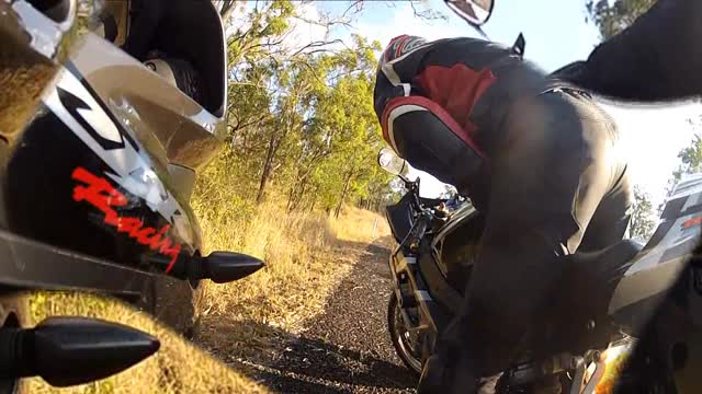 Motorcycle Hits Kangaroo