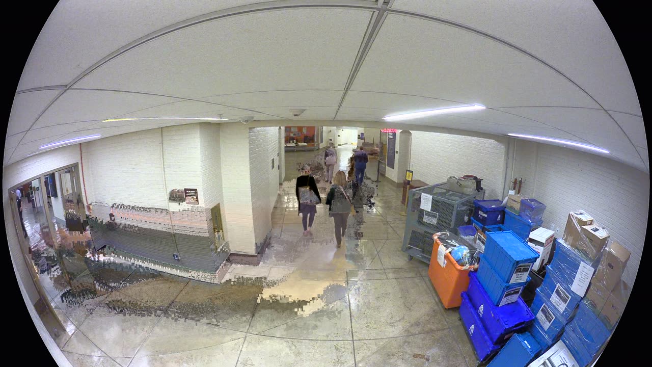 3505CHOBBAHallwaytoLHOB_2021-01-06_20h41min22s993ms.mp4