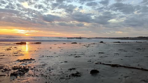 Happy Dogs, People and Stunning Sunset