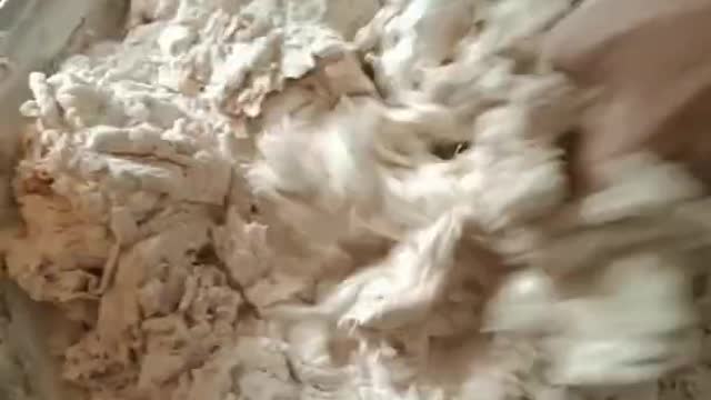 How to make Wheat Dough