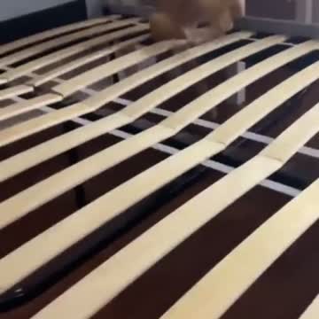 Cat said I fell very badly