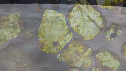 Météorites - REL | FSCJ