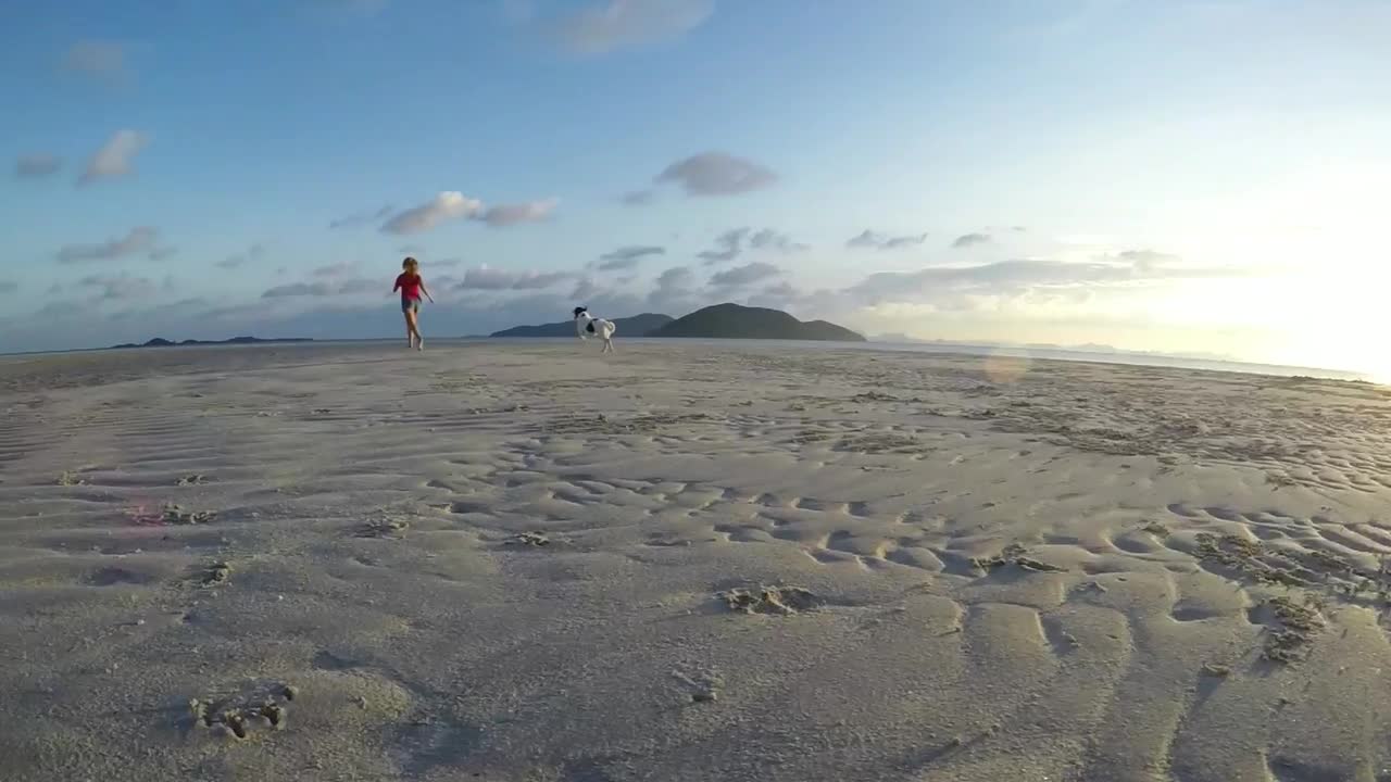 Dog run with his friend