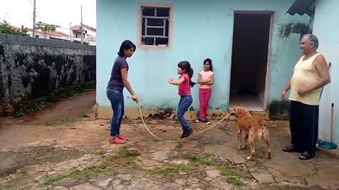 Rope Holding Dog