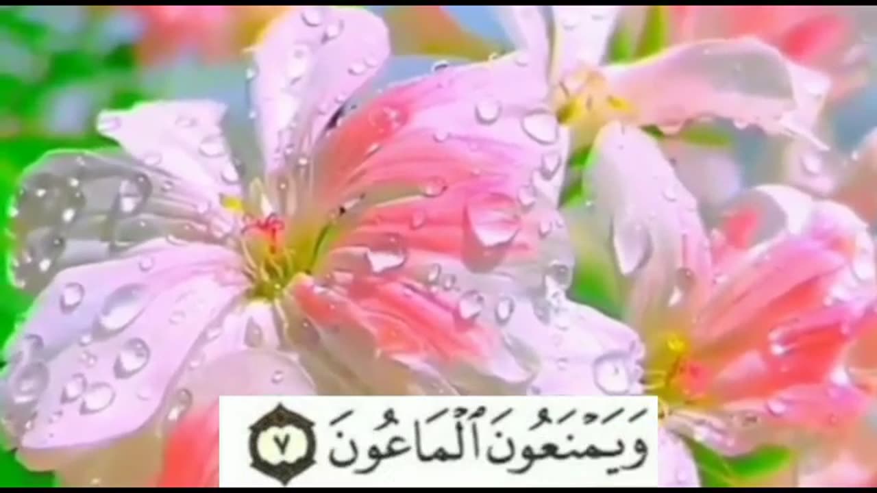 Quran Las 10 Surah