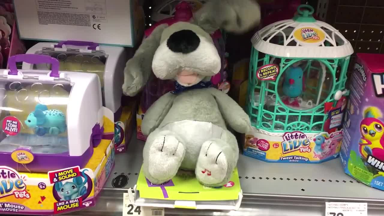 Dingo Singing Dog Toy