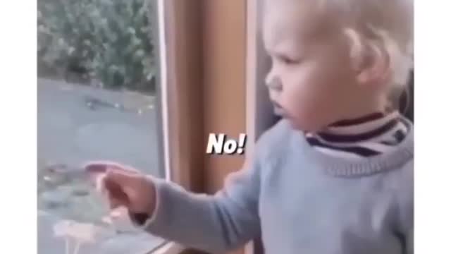 Funny Toddler reacts to goat 😂