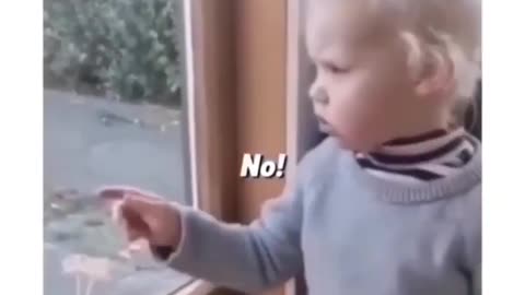 Funny Toddler reacts to goat 😂