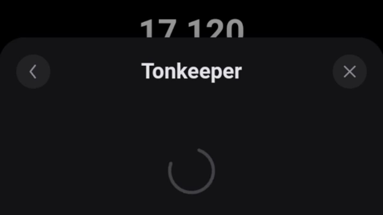 Pandas Airdrop | How To Connect Your TonKeeper Wallet