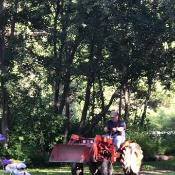 my little tractor, I had just rebuilt the engine when this was taken.