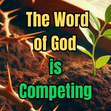 Beware of Thorns: Can The Word Breathe in Your Life?