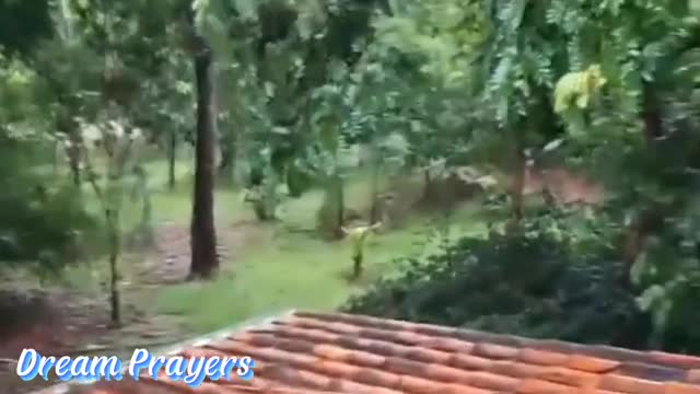 O Deus Que Dá Total Liberdade...