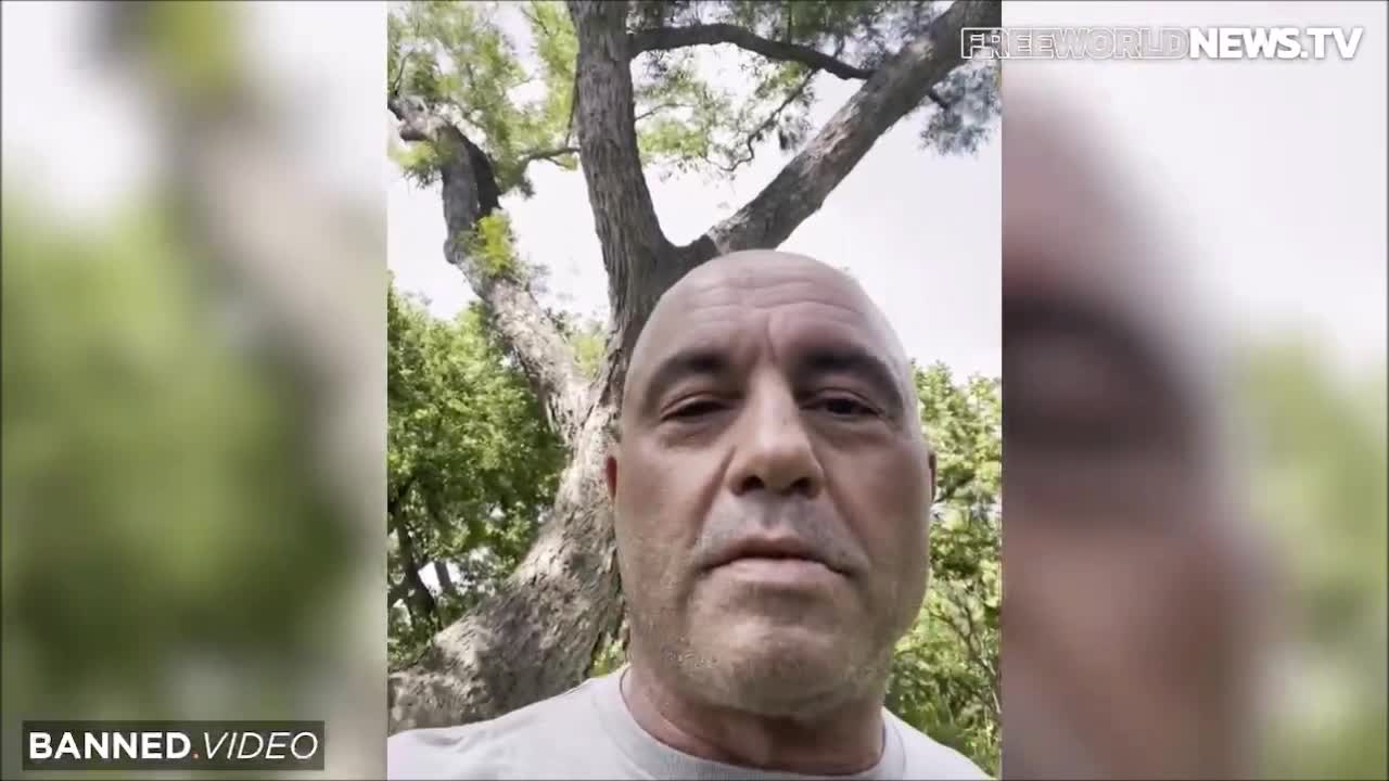 BREAKING : Joe Rogan Takes Ivermectain & Cures COVID In 1 DAY